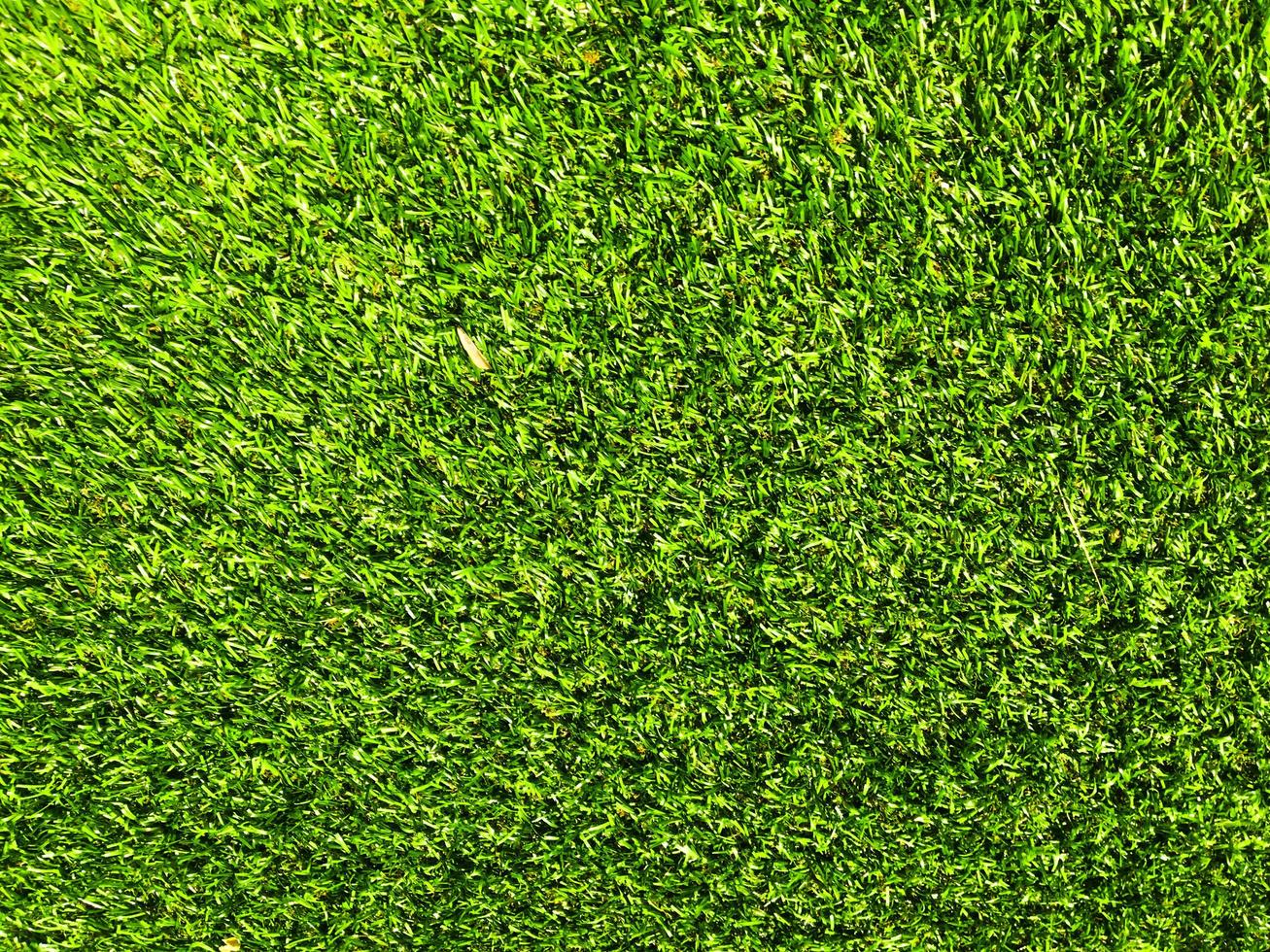 Green grass texture use as natural background. Wallpaper for design artwork photo
