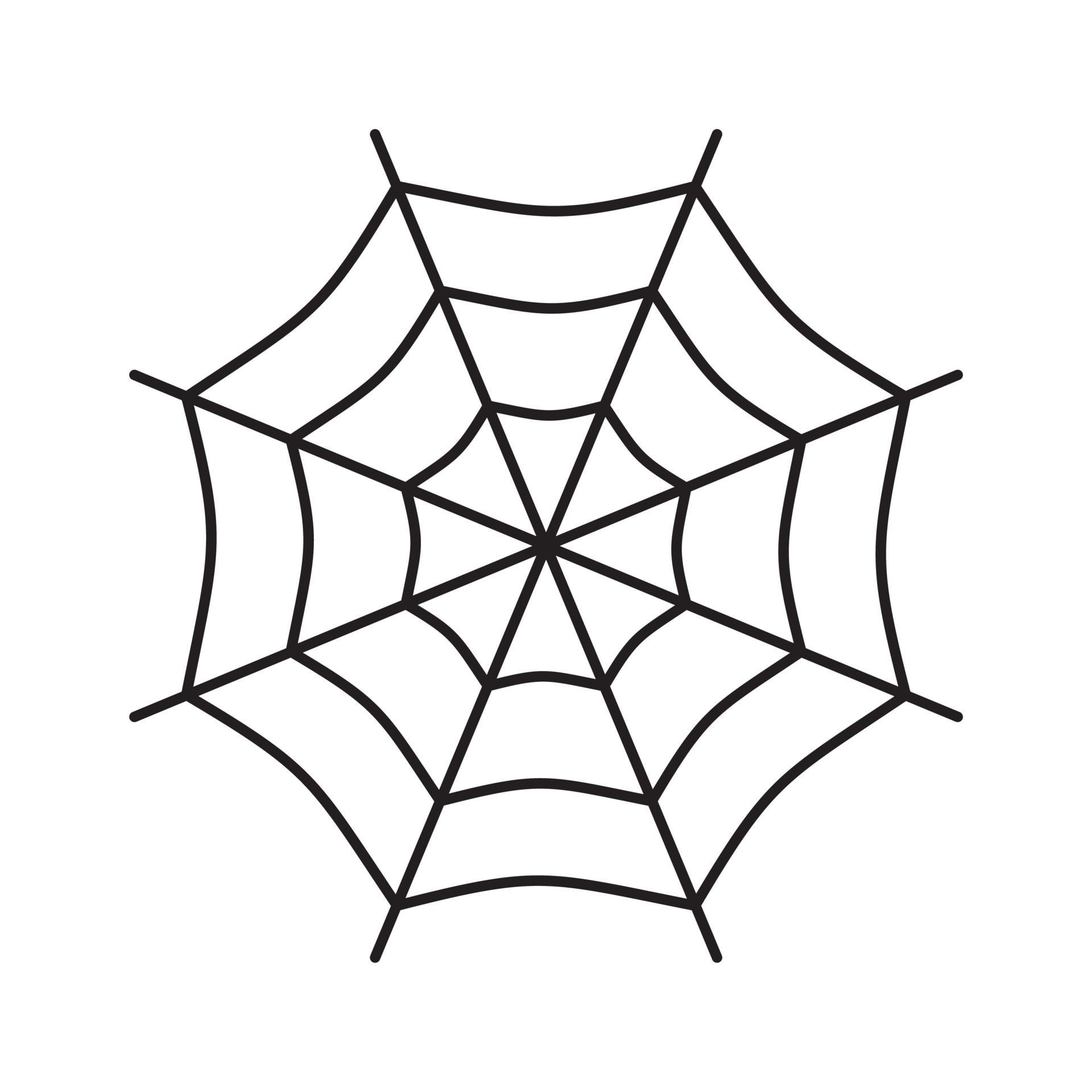 spider-web-outline-icon-12791243-vector-art-at-vecteezy