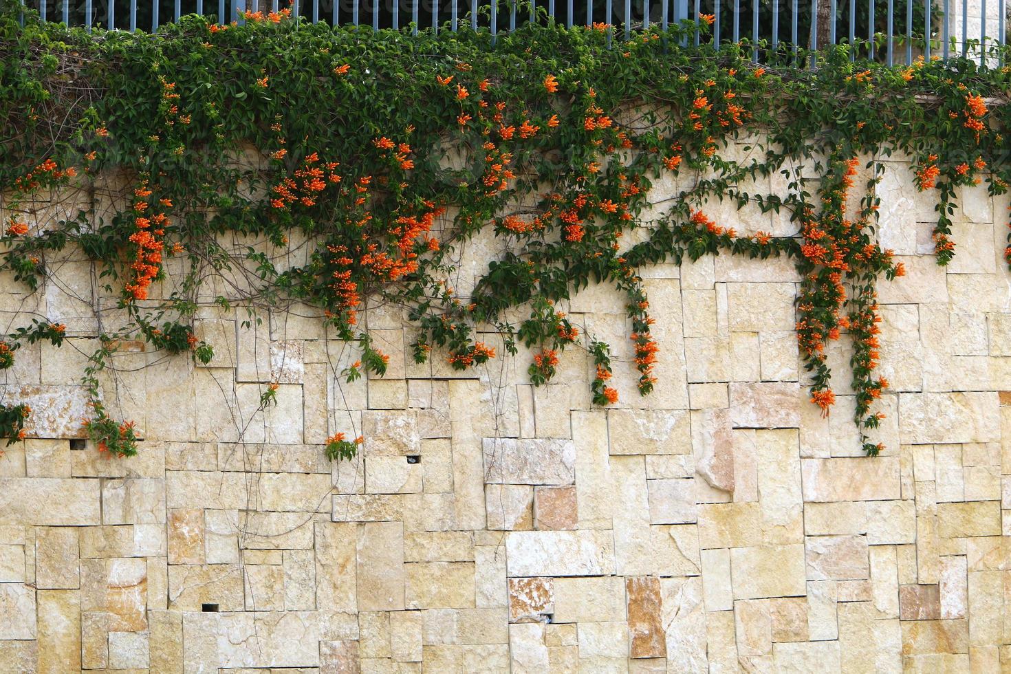 High wall made of stone and concrete. photo