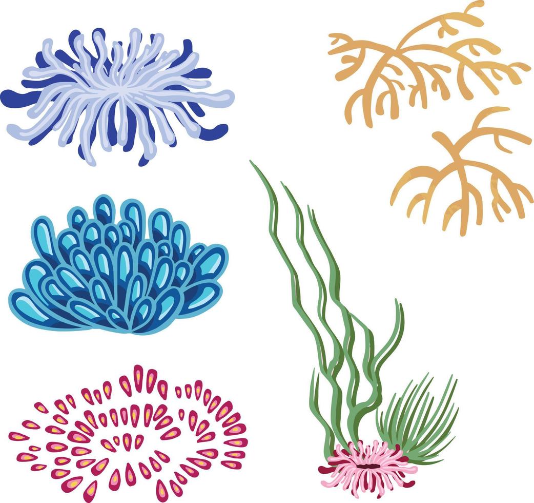 Set of marine vector plants, hand drawn algae