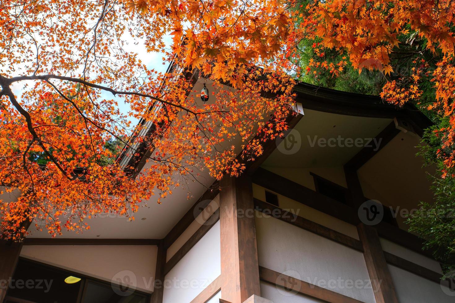 Autumn scene of Kurama-dera, a temple situated at the base of Mount Kurama in the far north of Kyoto Prefecture, Kansai, Japan photo