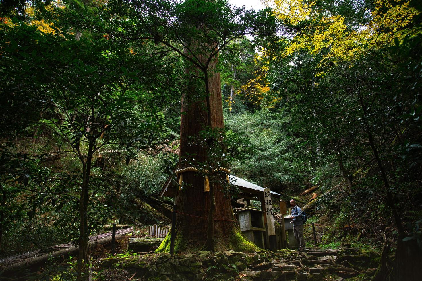 Kurama, Kyoto Prefecture, Kansai, Japan - November 21, 2019 - Tourists pray to the Sojogadanifudodo, a shrine in Kurama-dera, on walking trail between Kurama-dera to Kifune Shrine in Mount Kurama photo