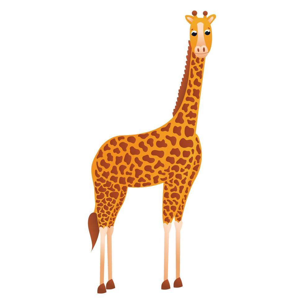 Cartoon giraffe character in childish style, zoo animal isolated on white background, design element for poster or pattern, african savannah fauna, desert vector