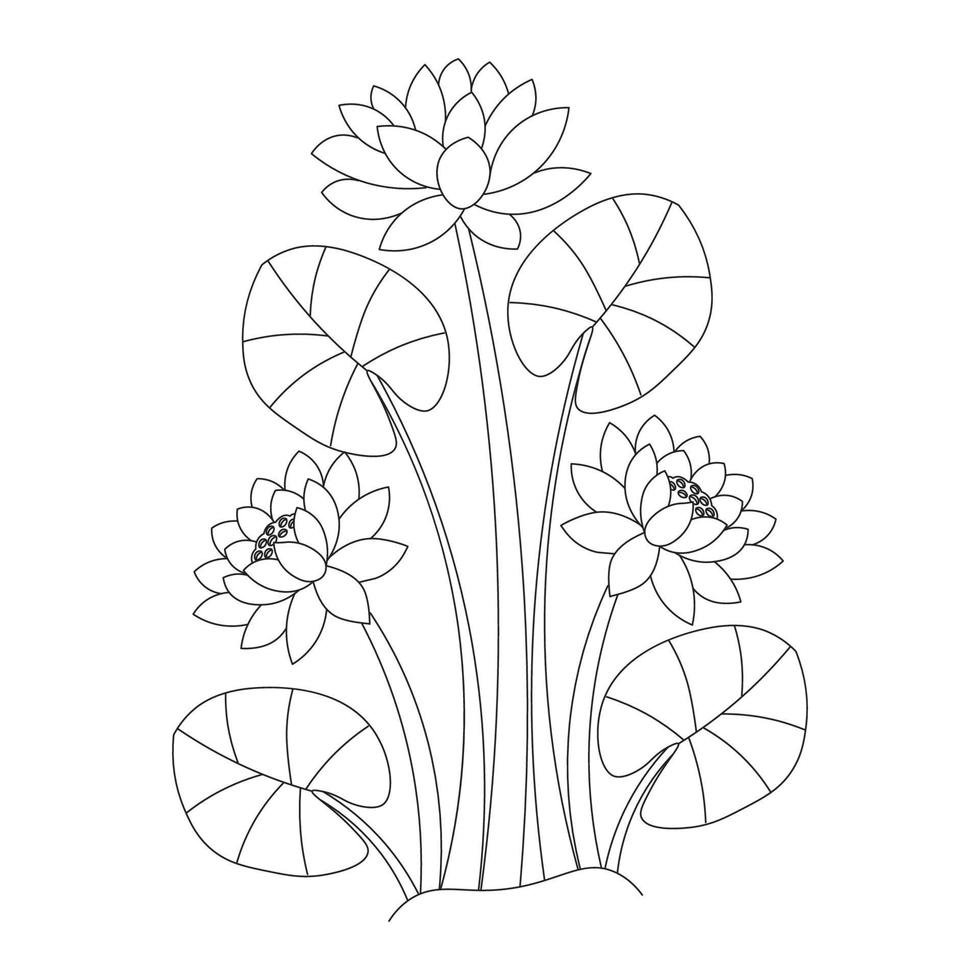water lily flower coloring page of simplicity artistic drawn with blossom flower on isolated background vector