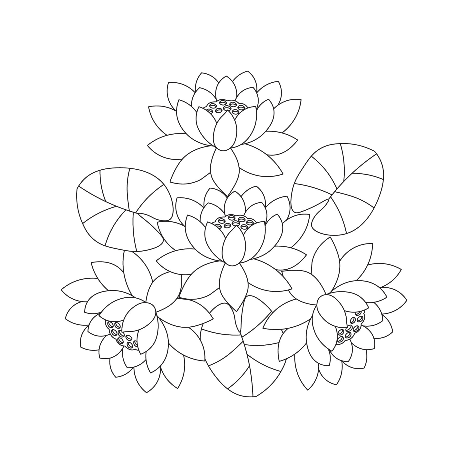 water lily flower coloring page of simplicity artistic drawn with