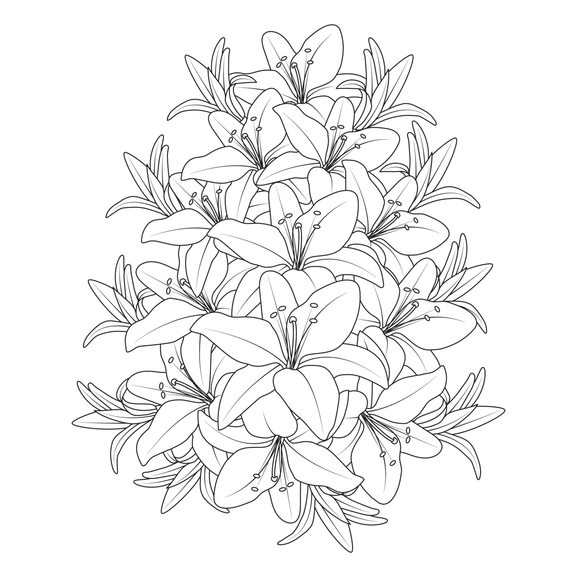 lily outline coloring page