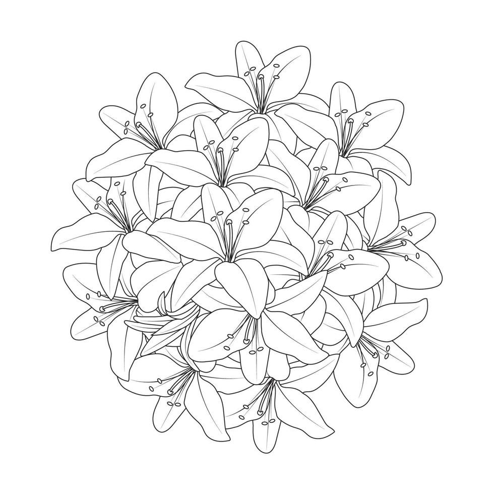 lily flower and lilium flower coloring page outline decorative line art vector graphics