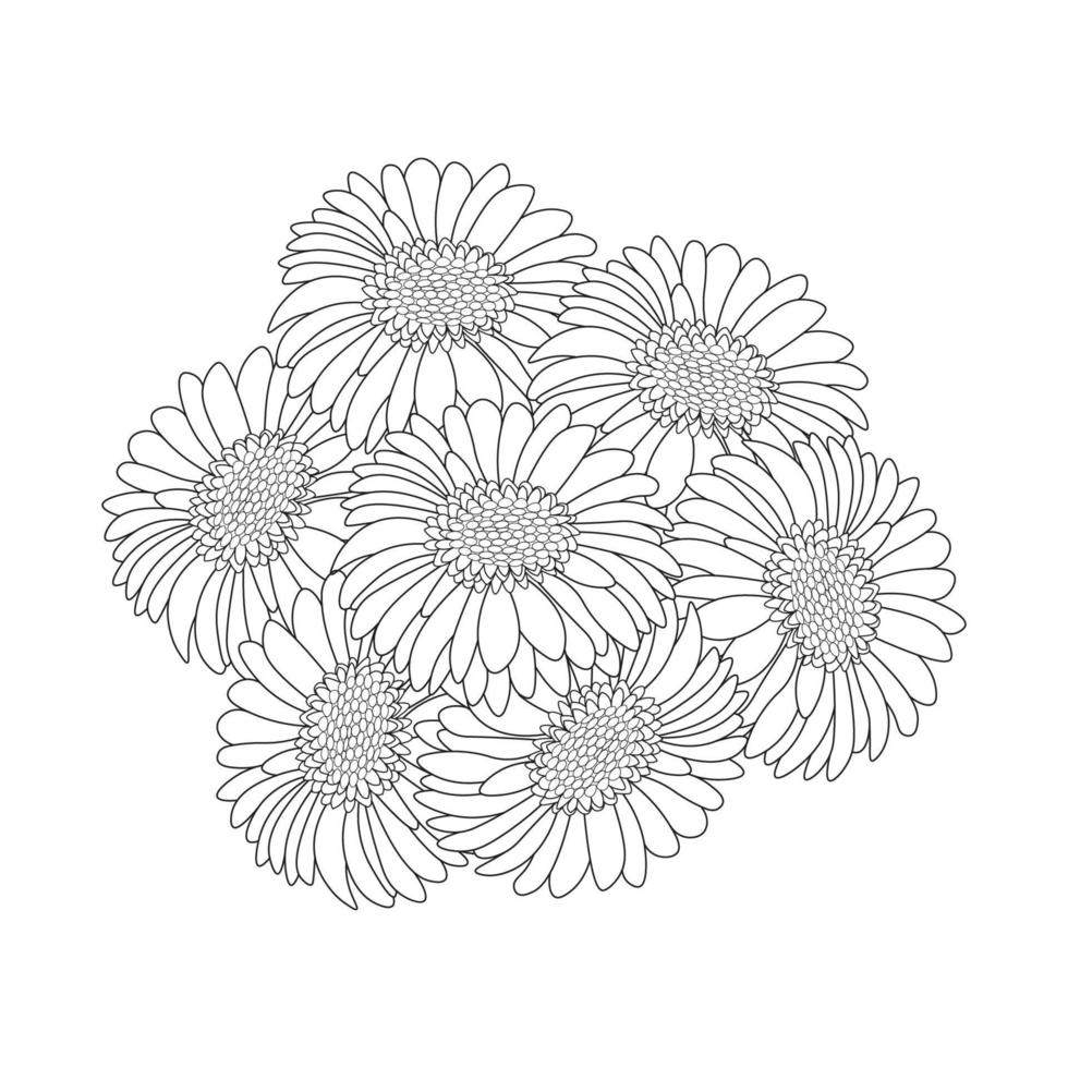 pink gerbera daisy beautiful flowers coloring page drawing detailed in vector graphic of line art