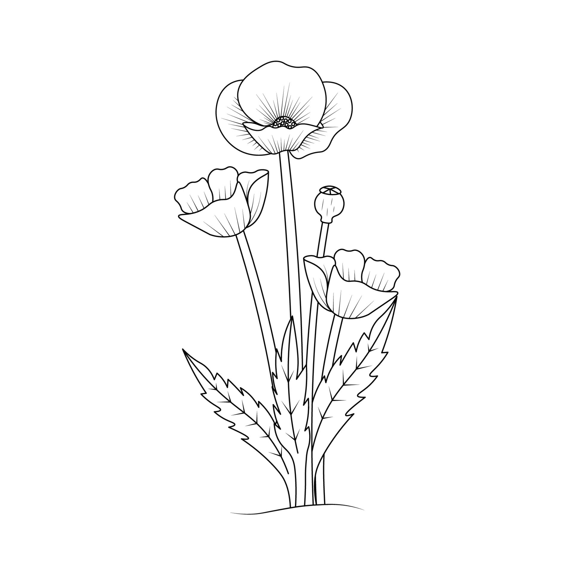 poppies flower line art design of coloring page flower with detailed ...
