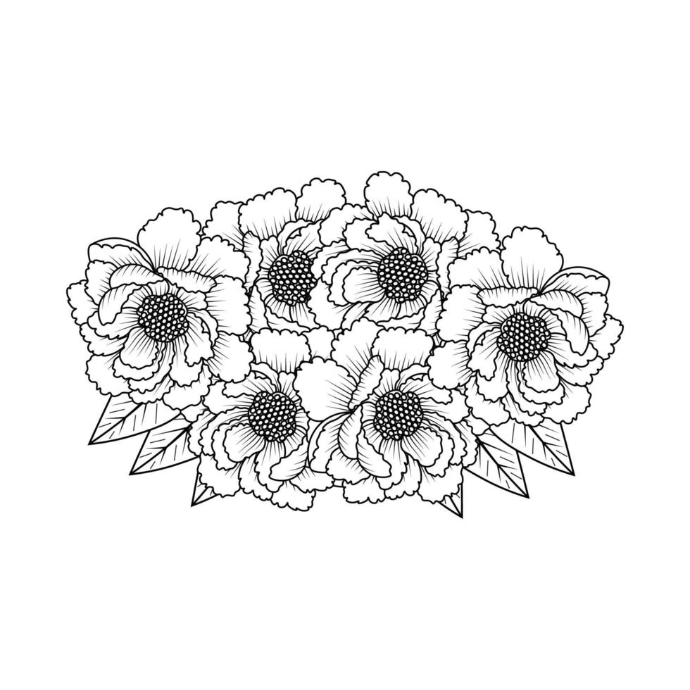 peony flower easy sketches pencil drawing of black and white line art design outline vector