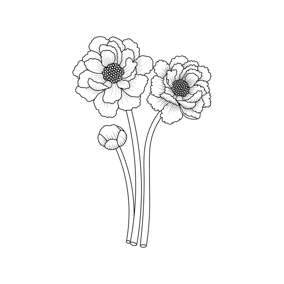 ramo de flores de peonía garabato arte de la página para colorear de flores contorno gráfico vectorial fondo aislado vector