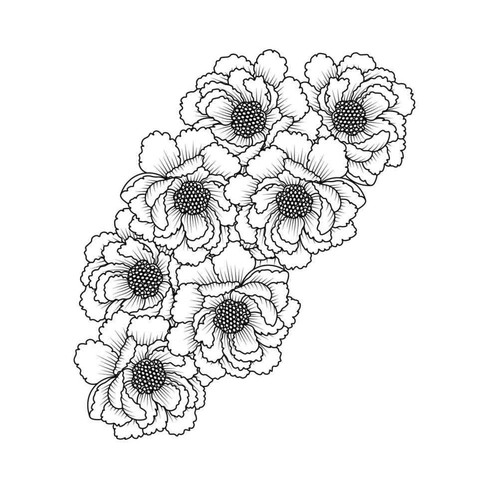peony flower easy sketches pencil drawing of black and white line art design outline vector