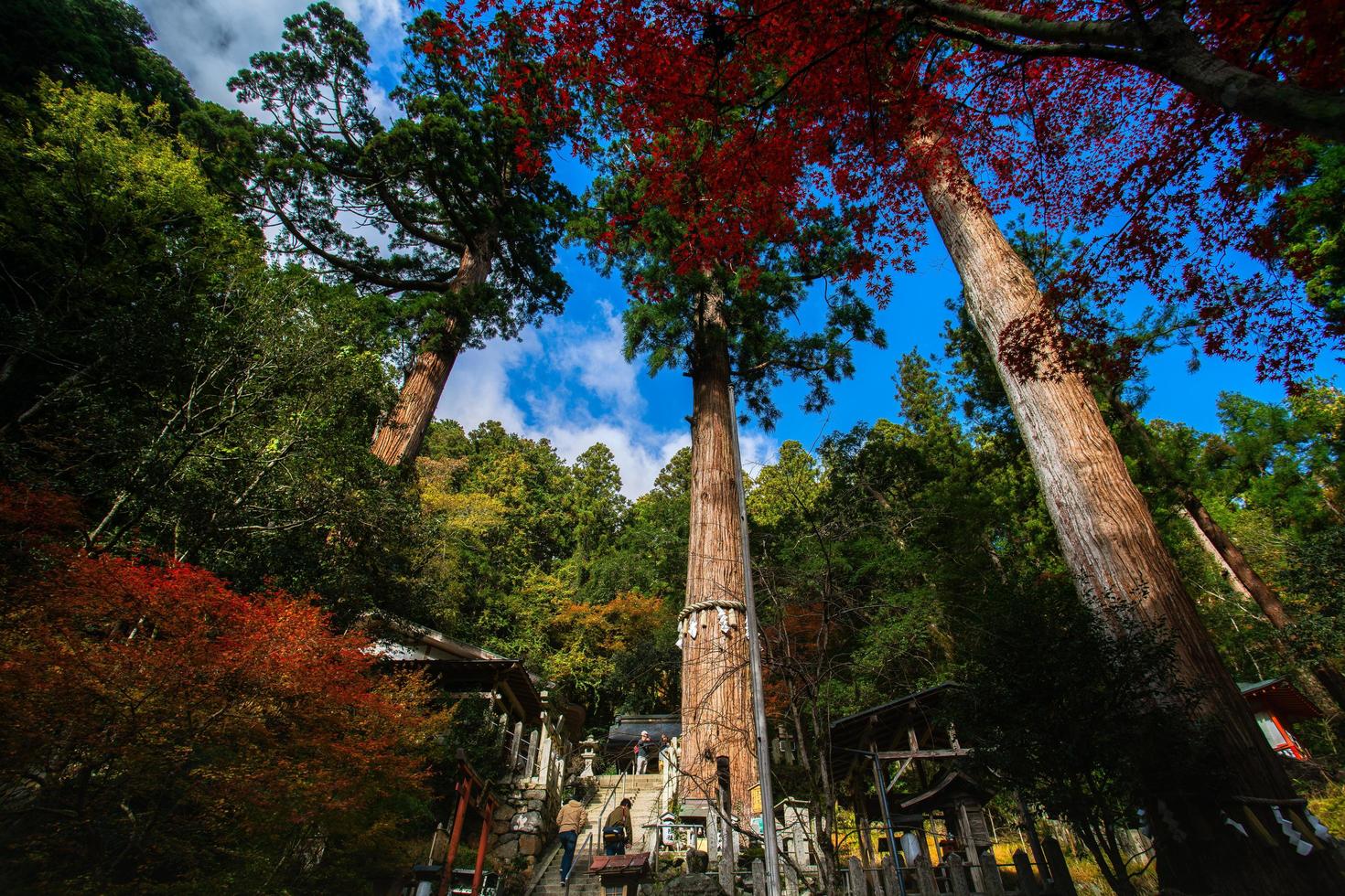 Kurama, Kyoto Prefecture, Kansai, Japan - November 21, 2019 - Tourists visit to Yuki-jinja, a famous Shinto shrine on the grounds of Kurama temple, a temple situated at the base of Mount Kurama photo