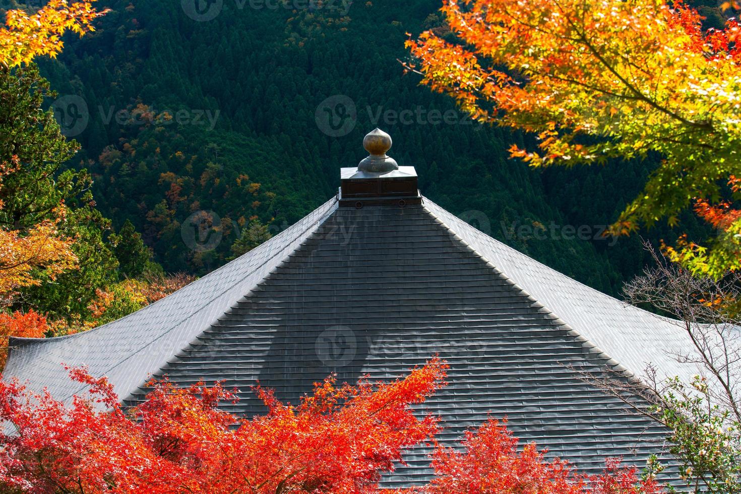 Autumn scene of Kurama-dera, a temple situated at the base of Mount Kurama in the far north of Kyoto Prefecture, Kansai, Japan photo