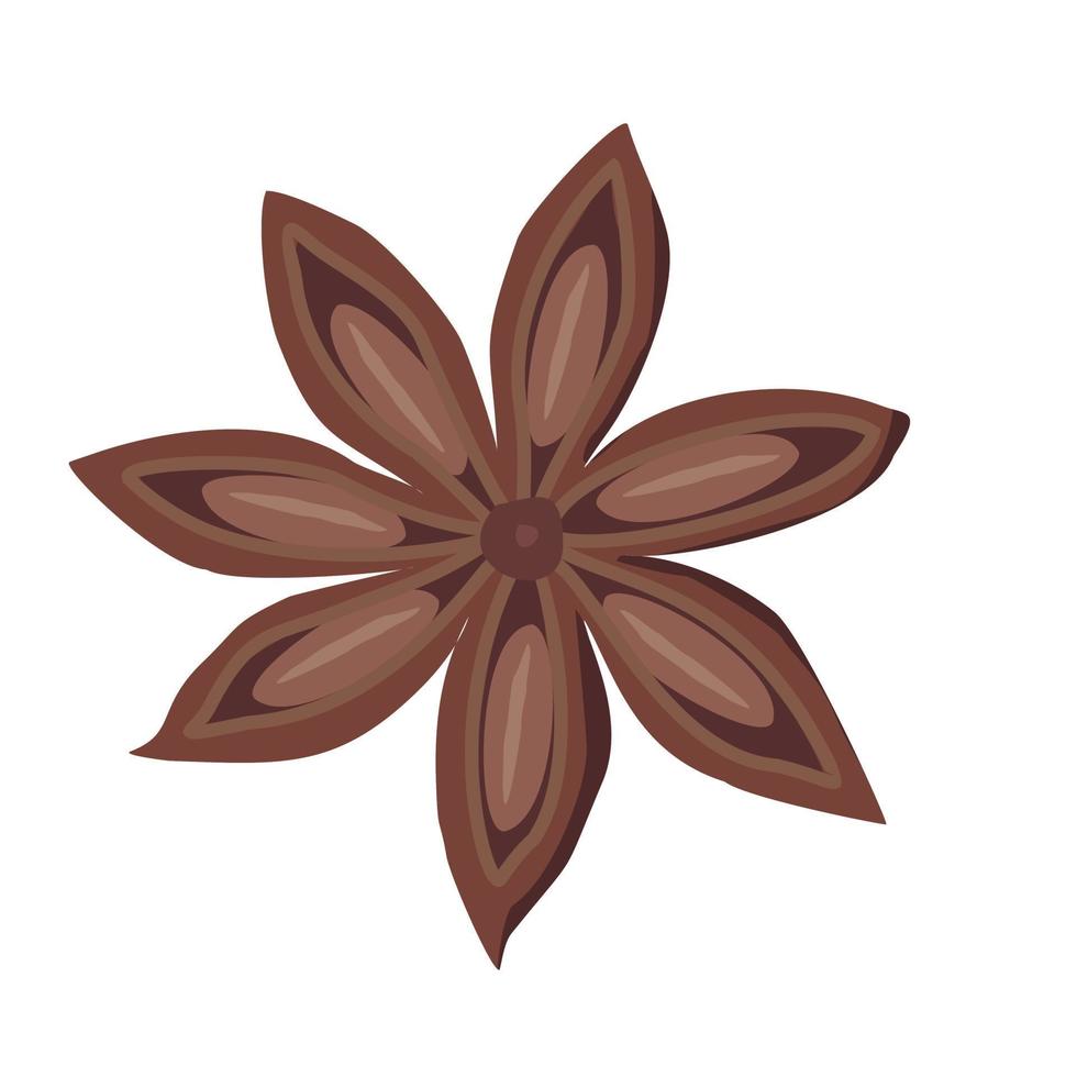 Spice star anise. vector