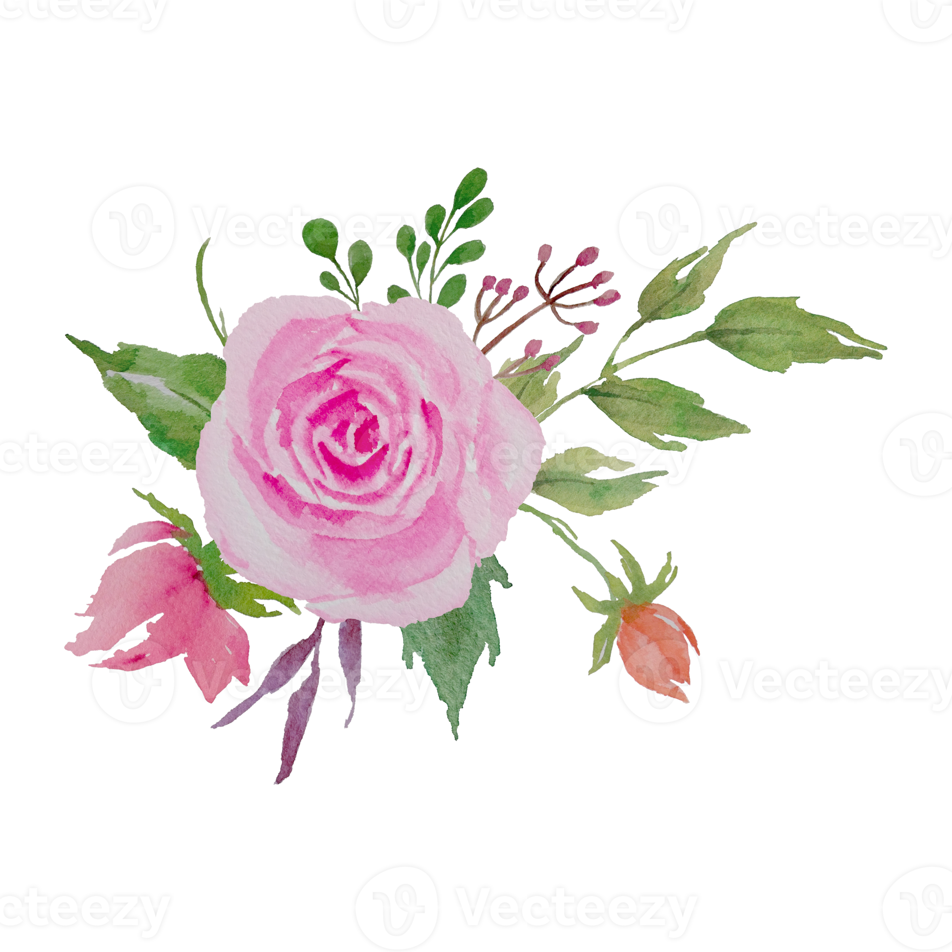 Watercolor Roses Bouquet, Flowers Arrangement and composition with