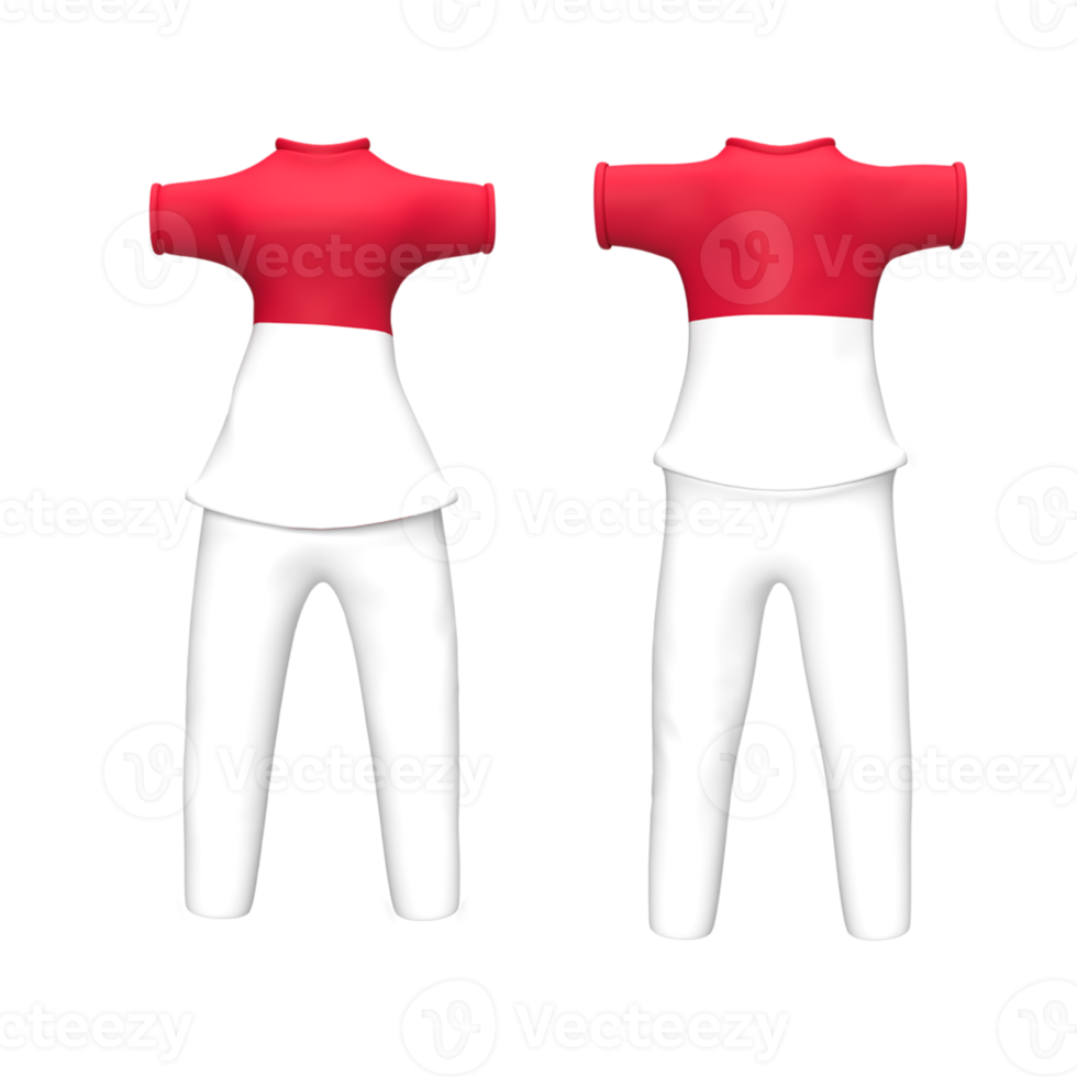 t-shirt design template country flag pattern. uniform design template. 3d render illustration png