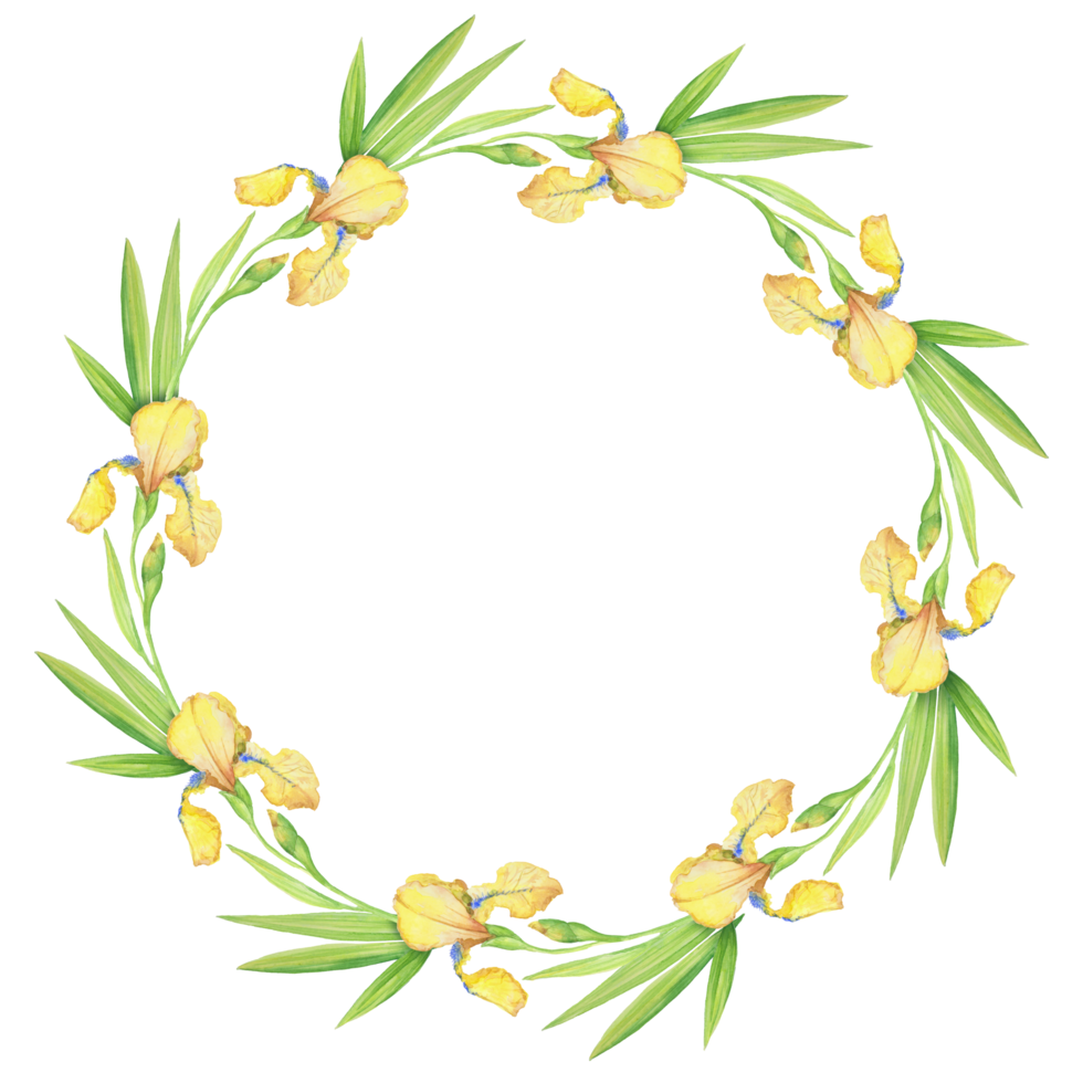 lirios amarillos, hermosa y delicada corona de flores y hojas, ilustración acuarela png