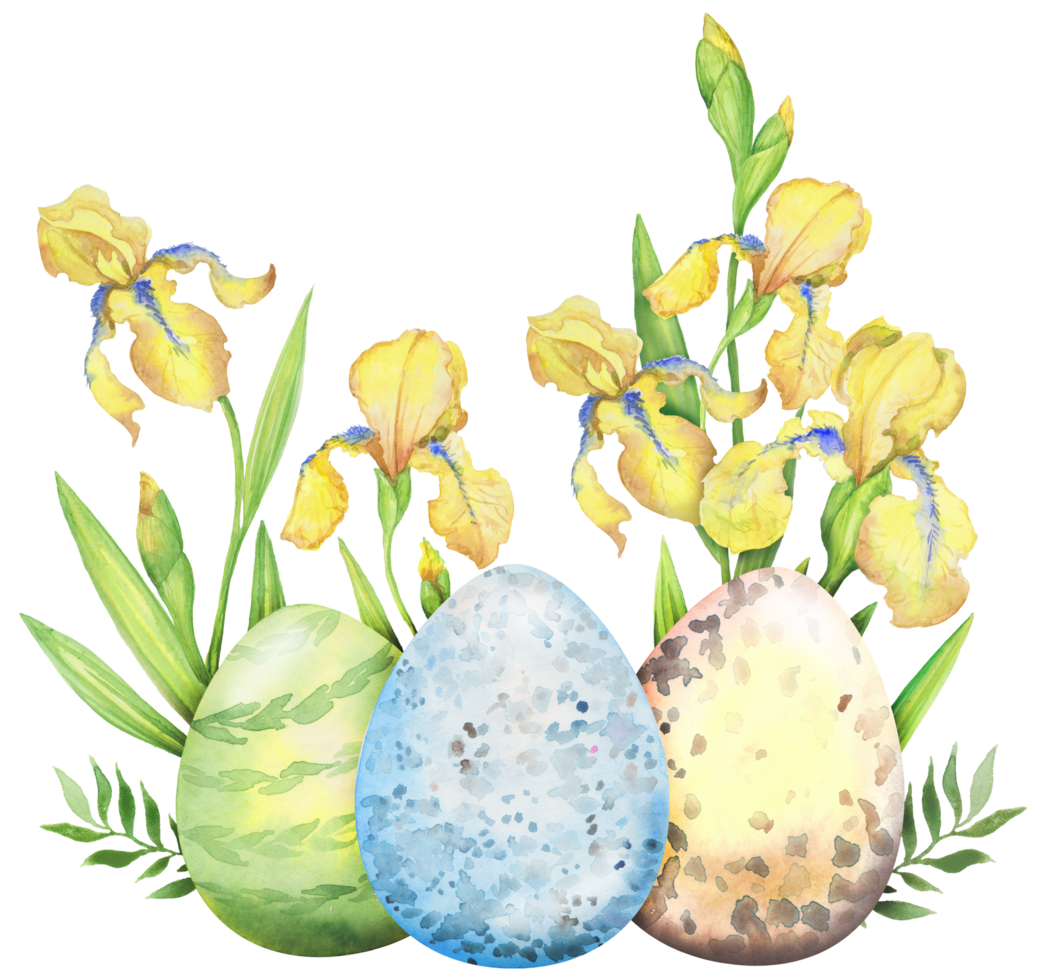composición floral de pascua con flores de iris amarillo, ramas, hojas y huevos. ramo de flores, ilustración acuarela. png