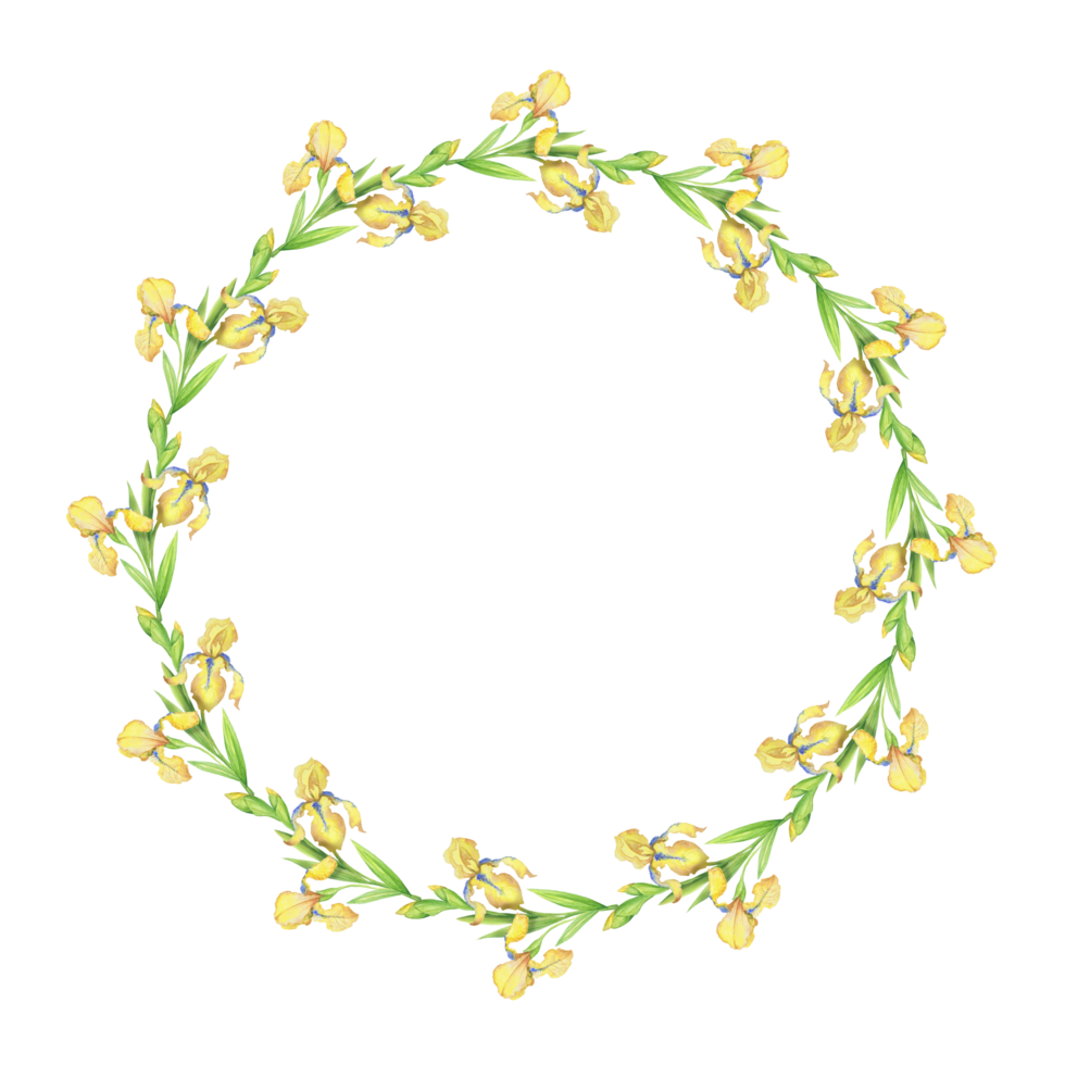 giallo iridi, bellissimo delicato ghirlanda di fiori e foglie, acquerello illustrazione png