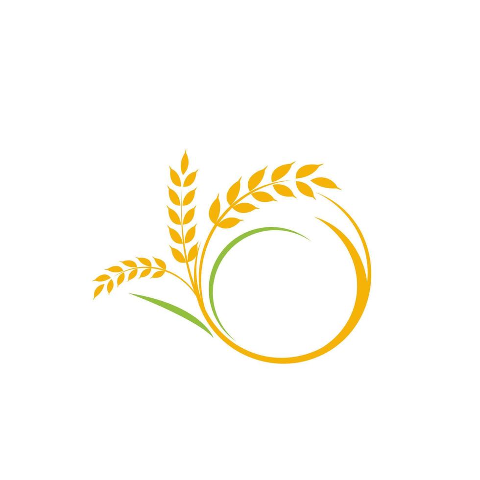 Agriculture wheat rice vector icon design