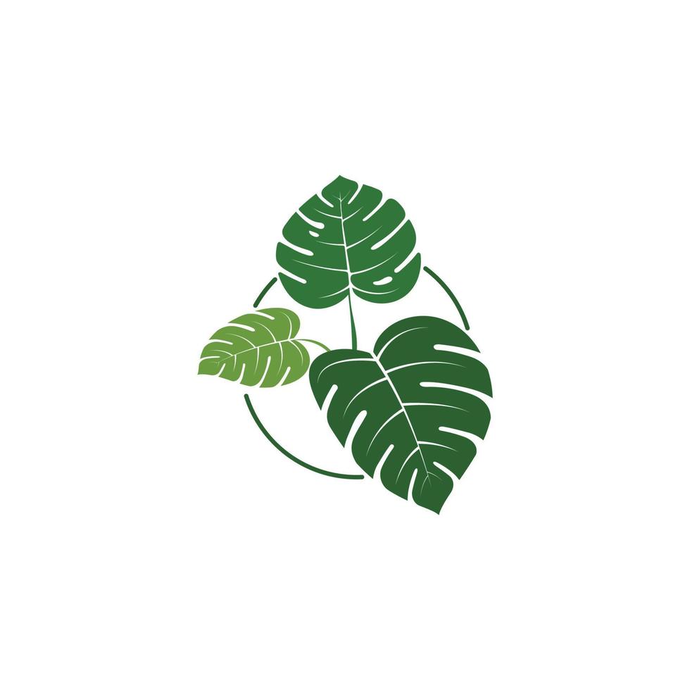 Ilustración de diseño de icono de vector de hoja tropical