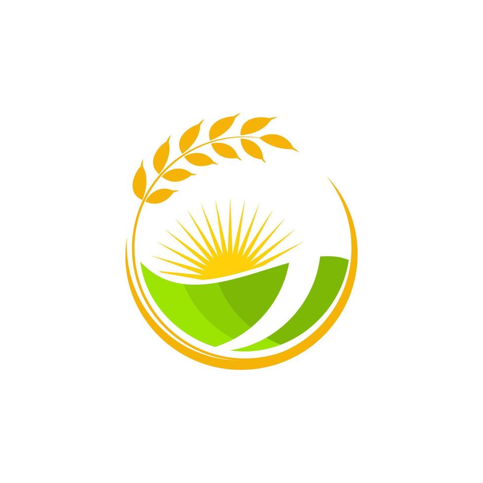 Agriculture wheat rice vector icon design