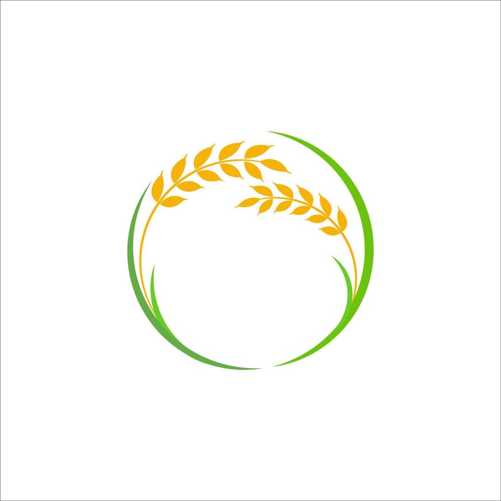 Agriculture wheat rice vector icon design