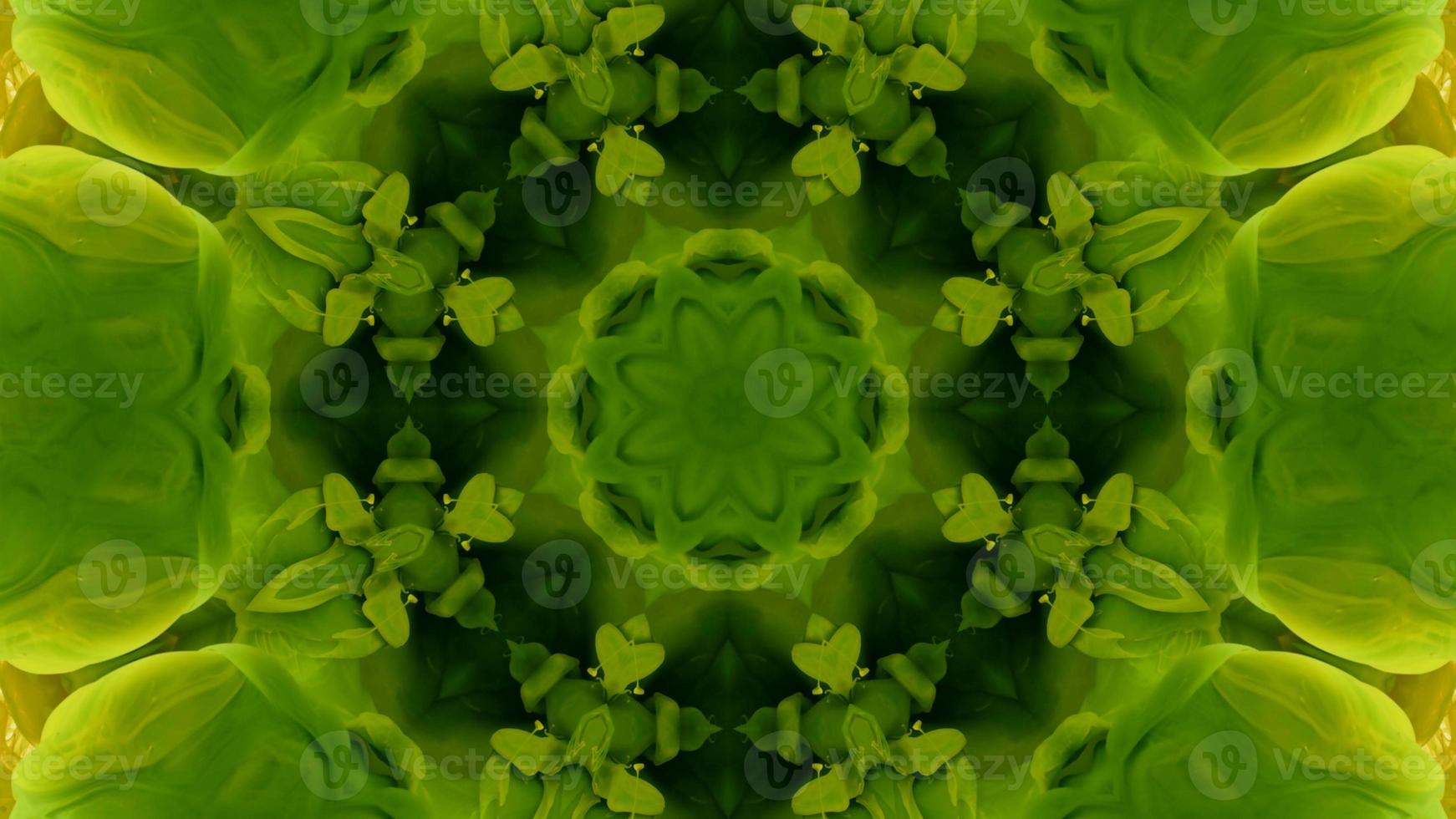 Wonderful Kaleidoscope Backgrounds Created From Colorful Ink Paint Spread photo