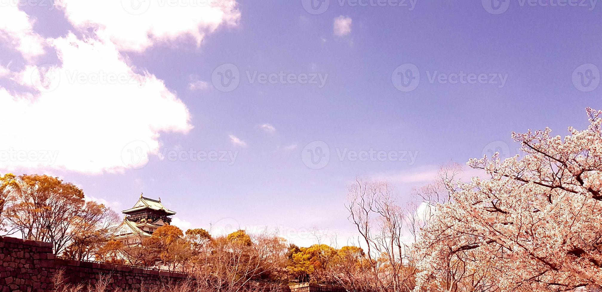 Landscape photo of Osaka Castle in spring, where there are still some cherry blossoms still in bloom.