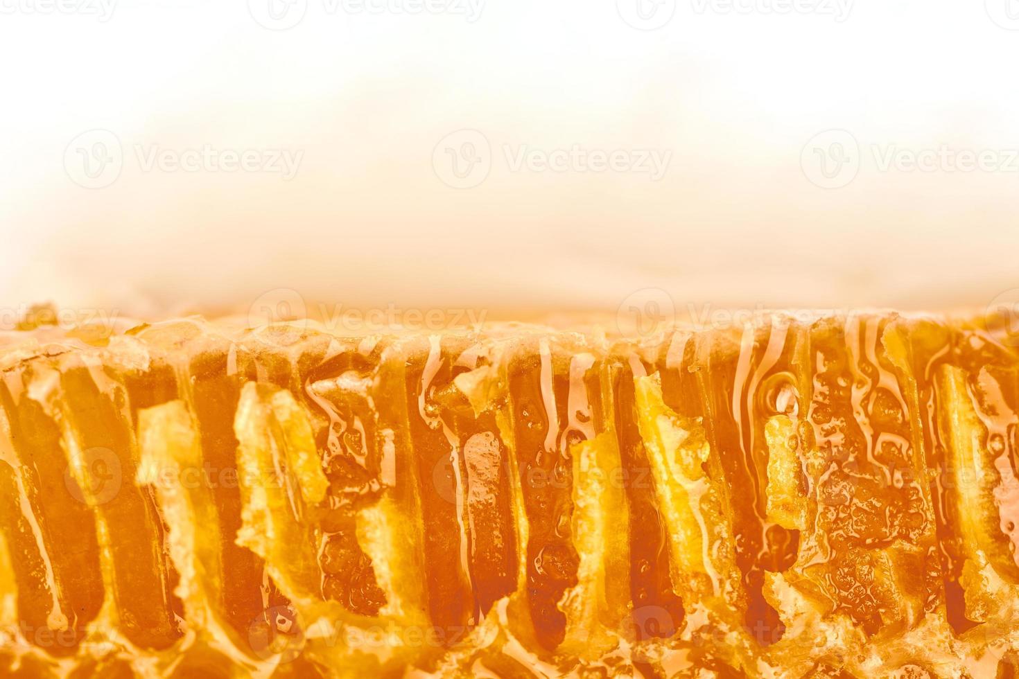 Honeycomb macro close up texture photo