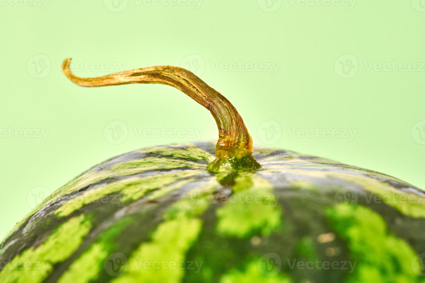 Tasty and juicy watermelon with dry tail, green background, delicious summer fruit for stay hydrated photo