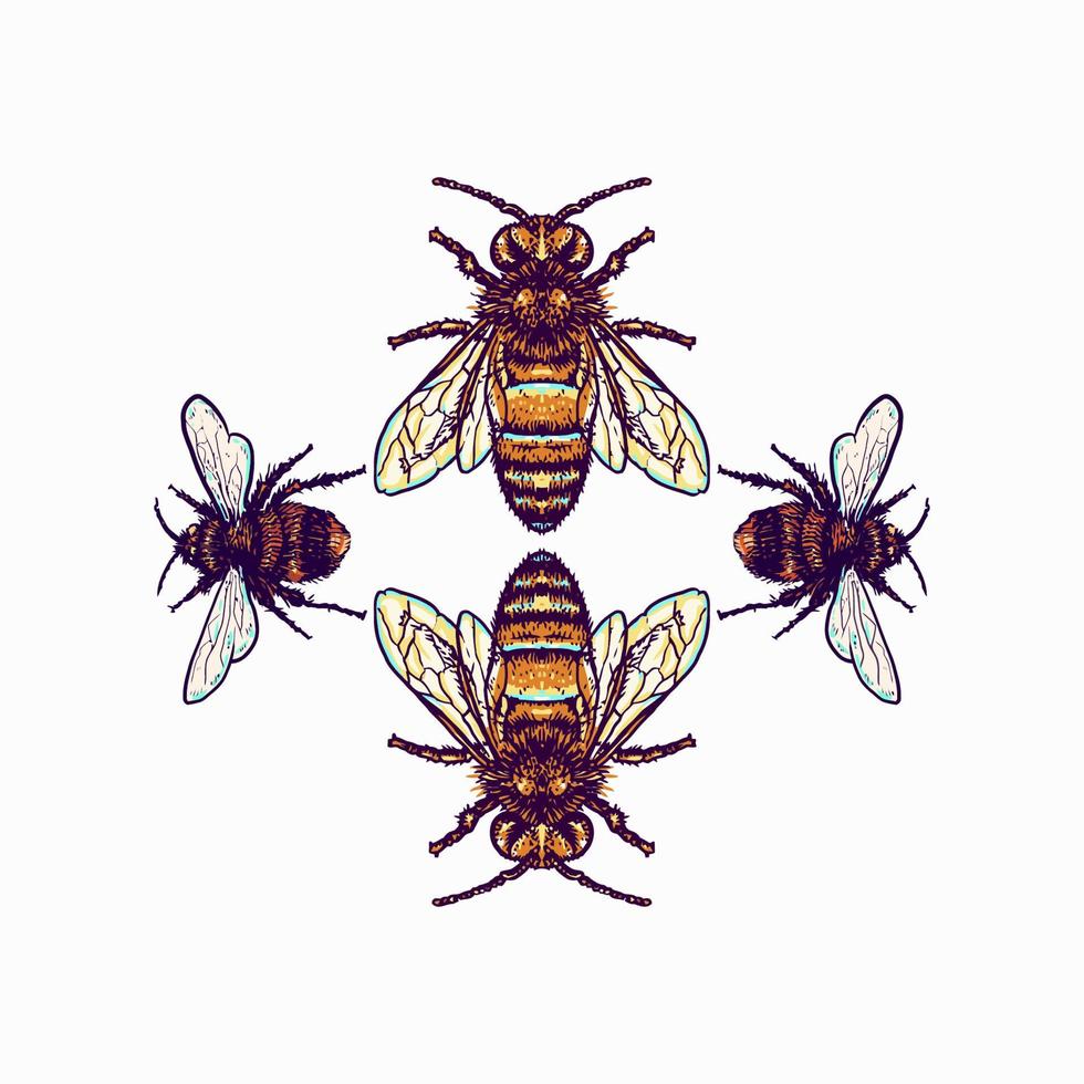Bee illustration using a hand drawing style continued with digital coloring, this is a combination of hand drawing style and digital color vector