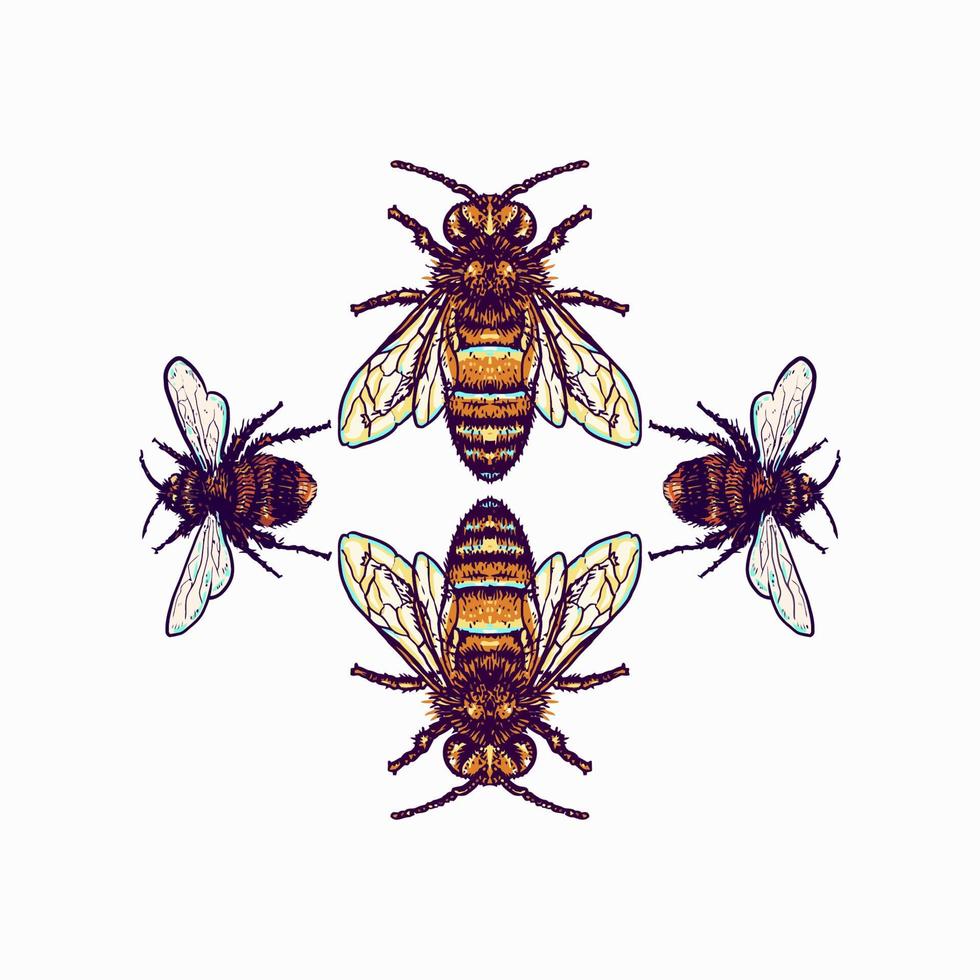 ilustración de abeja usando un estilo de dibujo a mano continuado con coloración digital, esta es una combinación de estilo de dibujo a mano y color digital vector