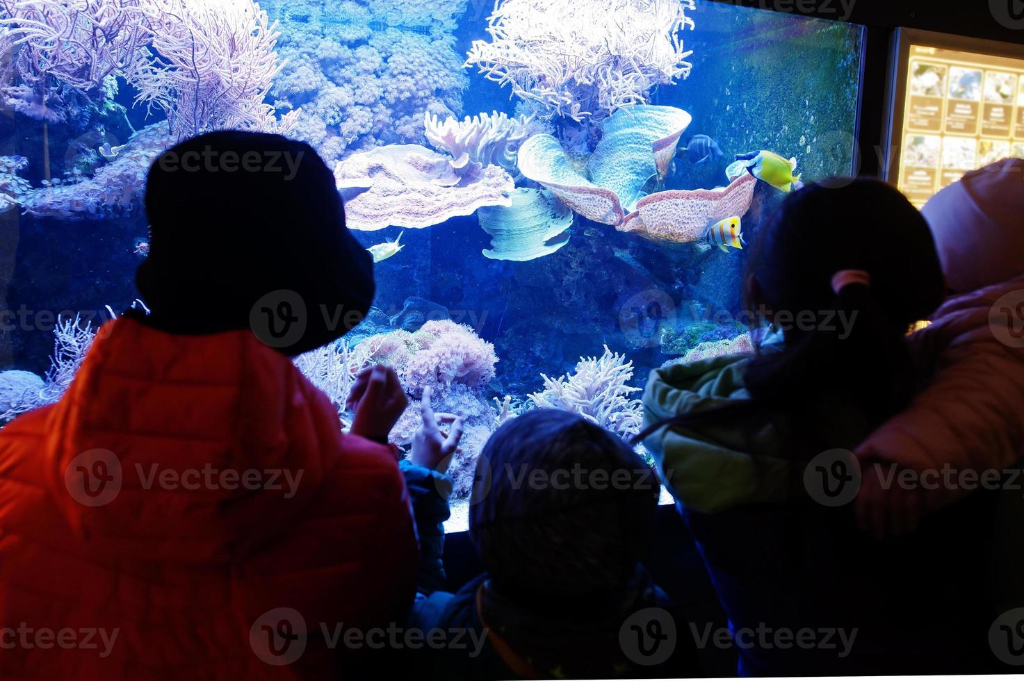 madre con niños descubriendo y observando peces en el zoológico del acuario. foto