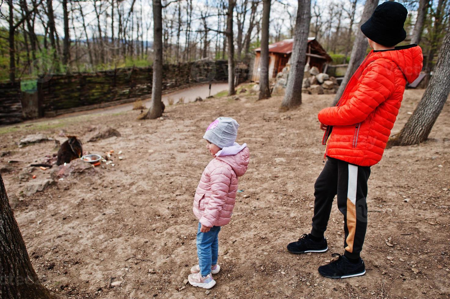 hermano con hermana contra pequeños canguros comen comida en el zoológico de la ciudad. foto