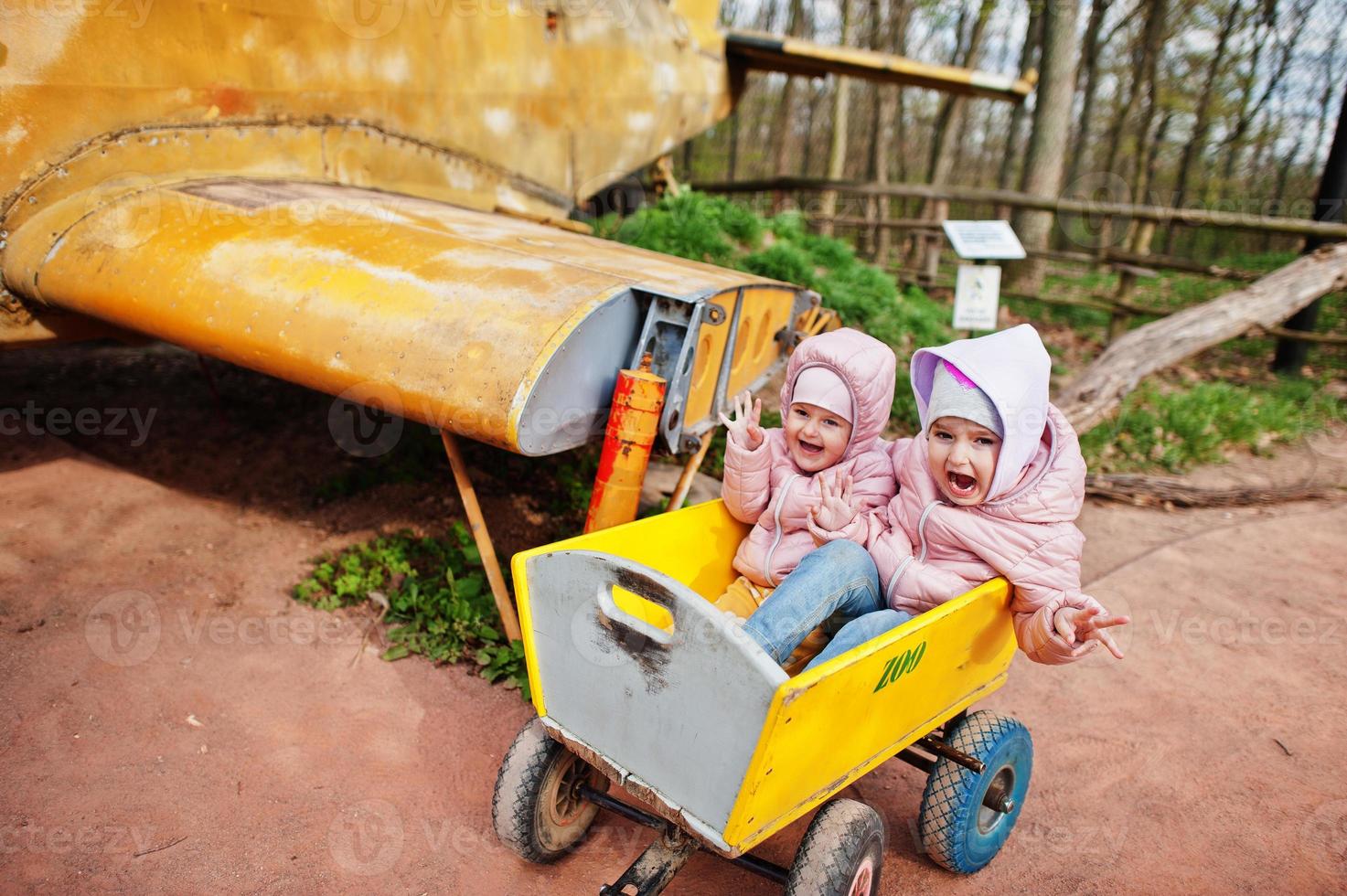 los niños se sientan en un carrito de madera en el zoológico contra la vieja llanura. foto