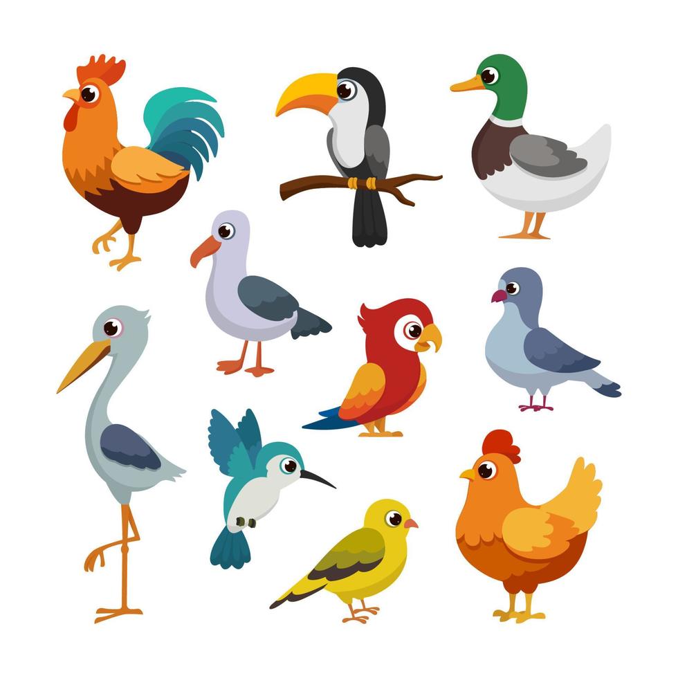Kind different Bird and Poultry animal for kids education cartoon style vector
