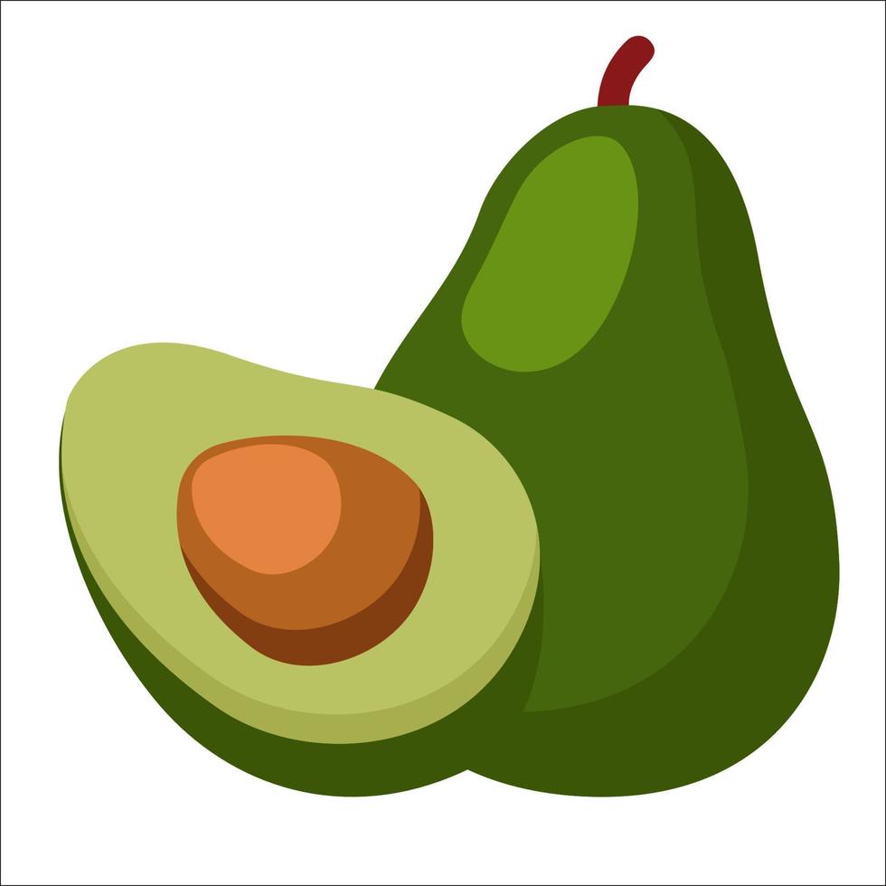 Natural fresh of avocado vegetable fruit with cut slice vector