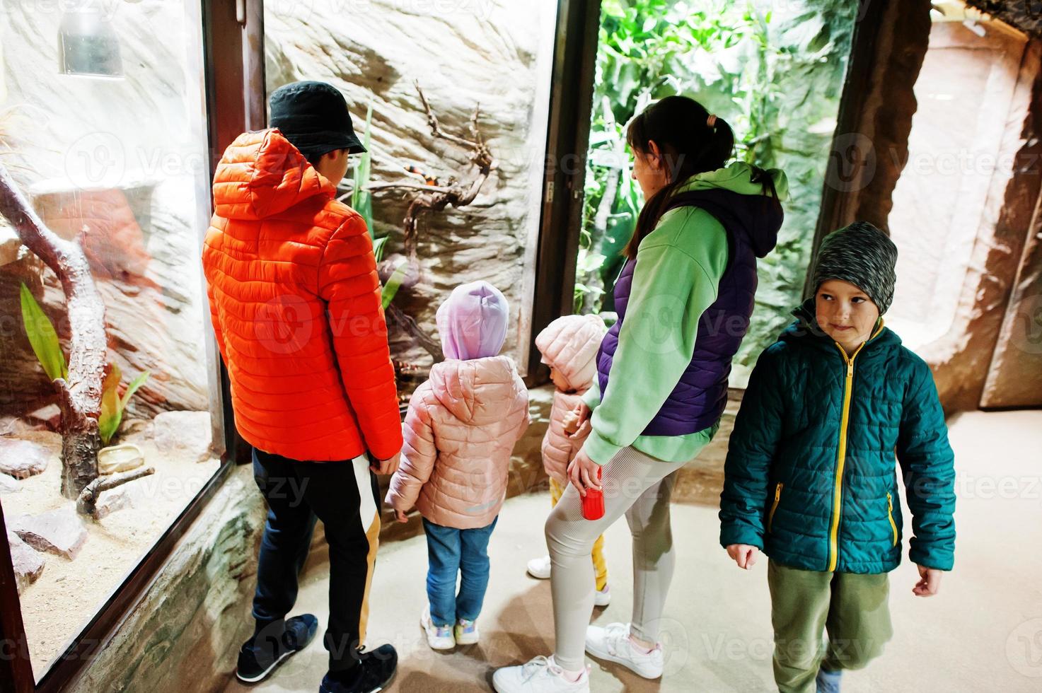 Mother with four kids discovering and watching animals at zoo. photo