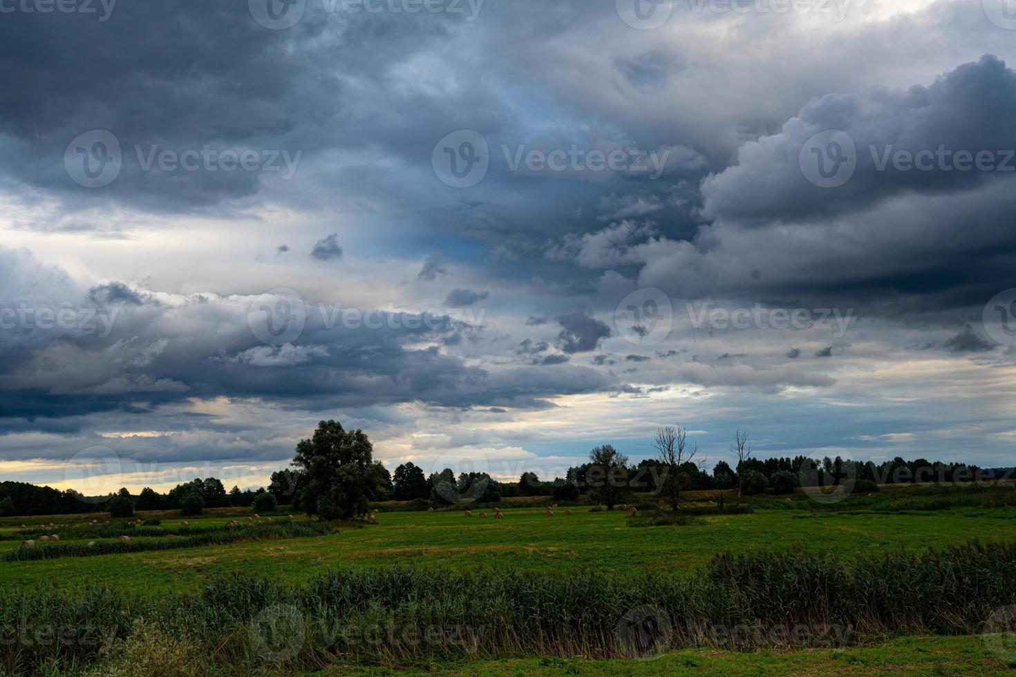 The summer Warta River with its backwaters photo