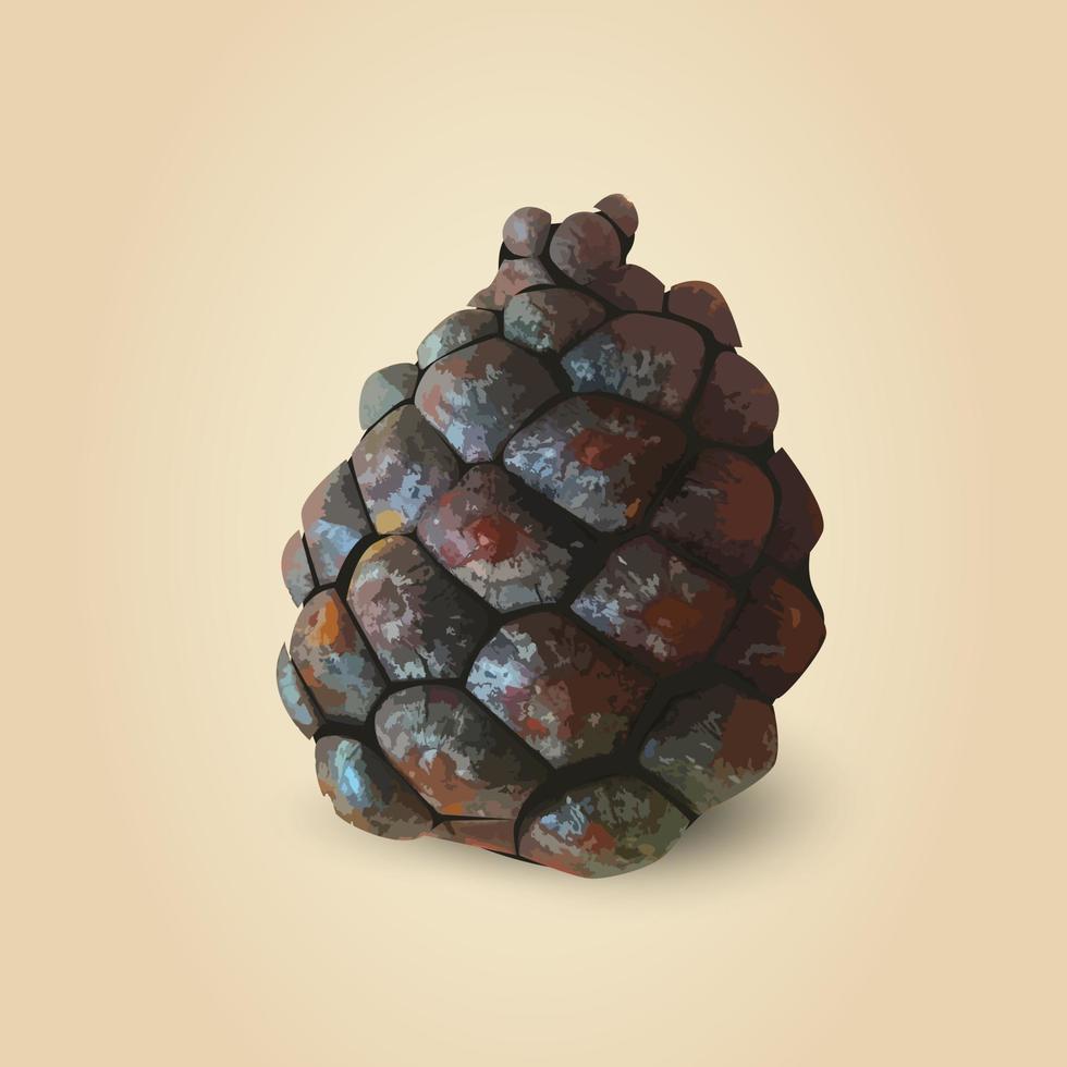 Realistic Pine Cone, isolated vector illustration.