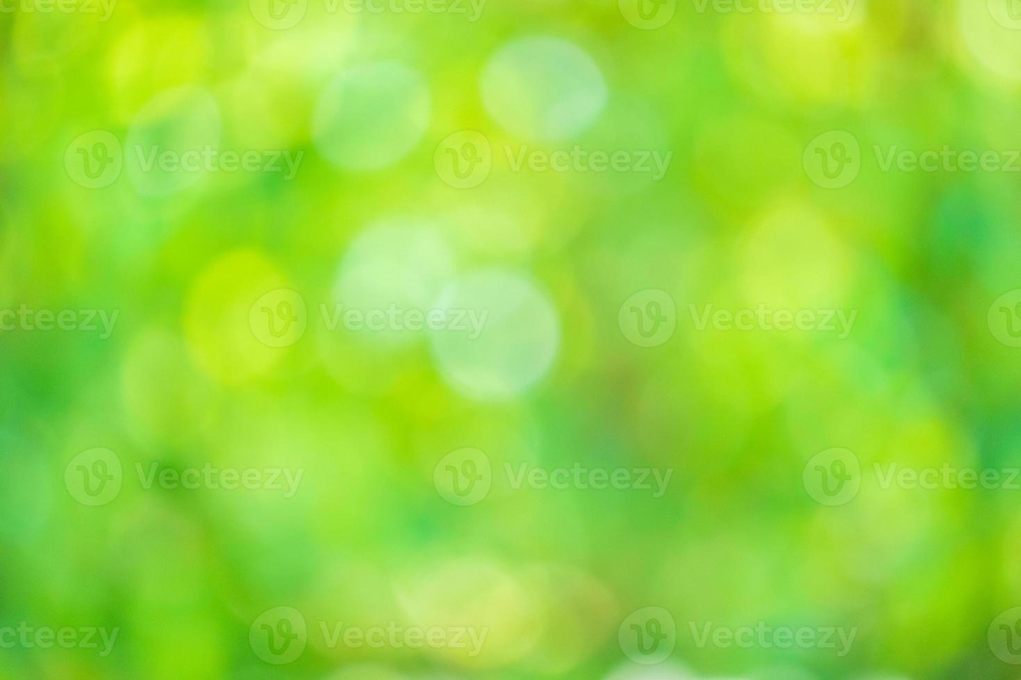 Abstract blur green leaf bokeh nature background photo
