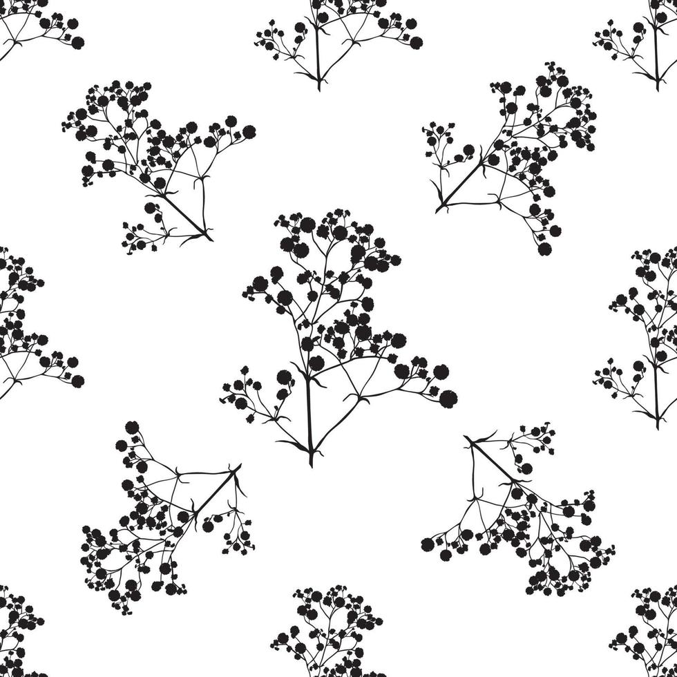 fondo transparente con ramas de hermosa silueta dibujada a mano gypsophila vector