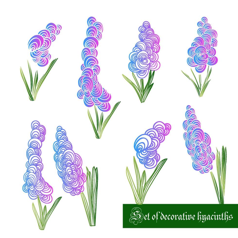 Set of decorative color elements, hyacinth and leaves vector