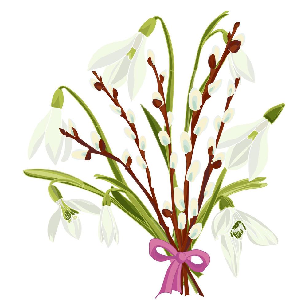 fondo floral de primavera con hermosa campanilla de invierno y flor de sauce vector