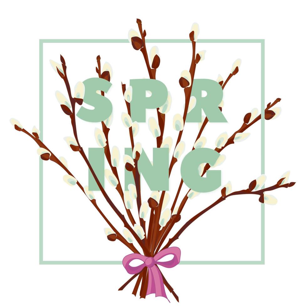 Spring floral background with beautiful snowdrop and pussy willow flower vector