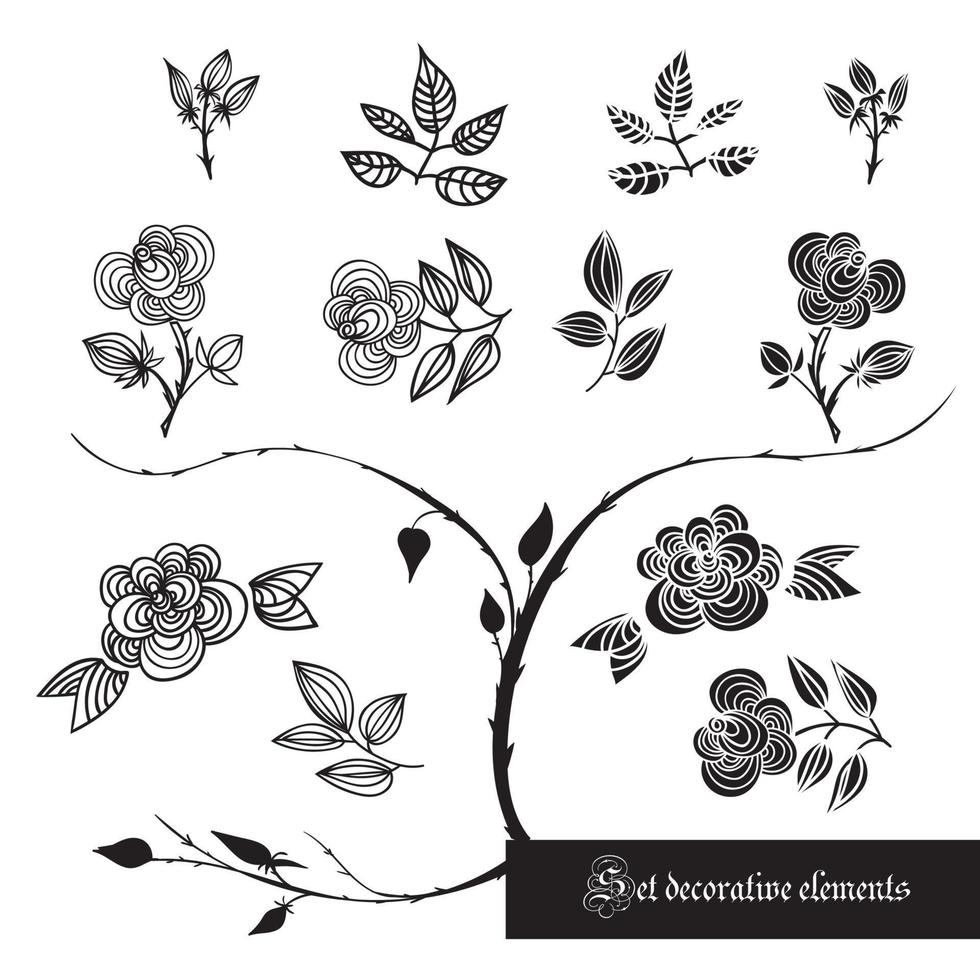 Set of decorative elements, roses and leaves, black and white vector