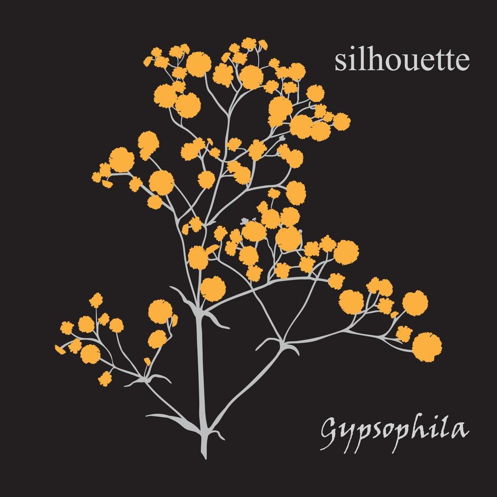 Branch of beautiful hand-drawn silhouette gypsophila vector