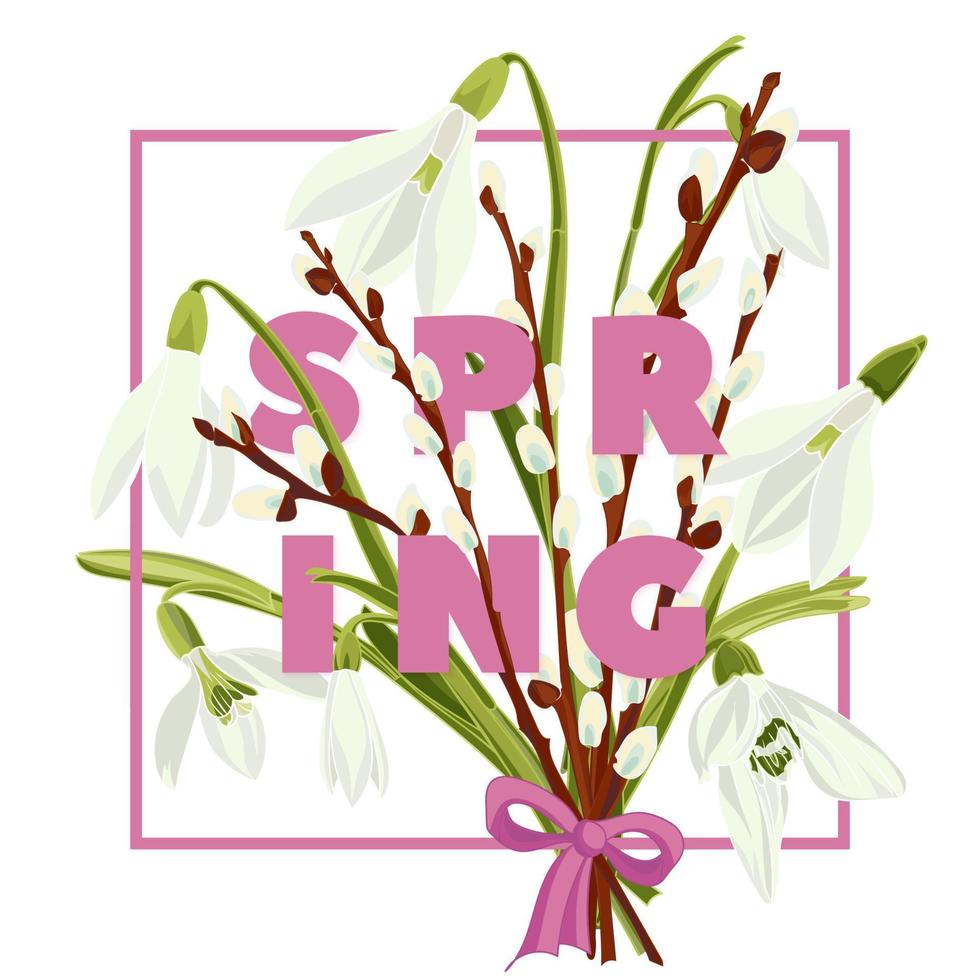 Spring floral background with beautiful snowdrop and pussy willow flower vector